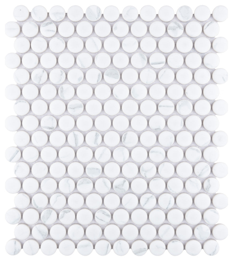 Carrione Penny Matte Carrara Porcelain Floor and Wall Tile