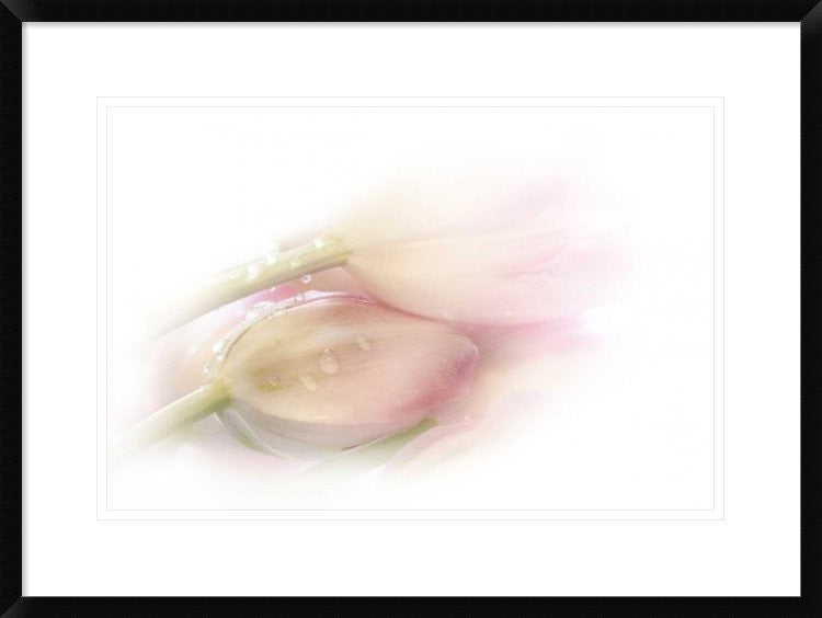 "Touching" Framed Digital Print by Stefan Eisele, 30x22"
