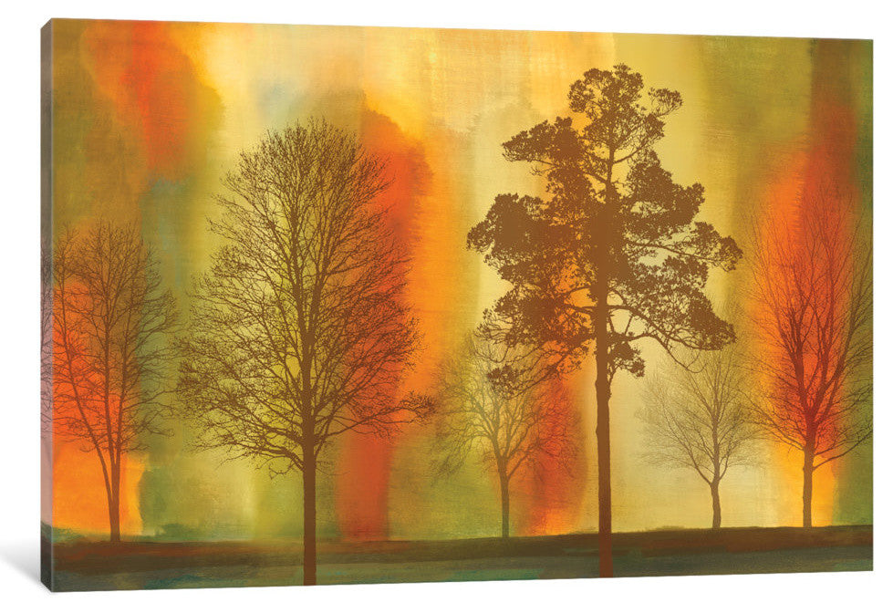 "Sunset I" by Chris Donovan, Canvas Print, 18"x12"