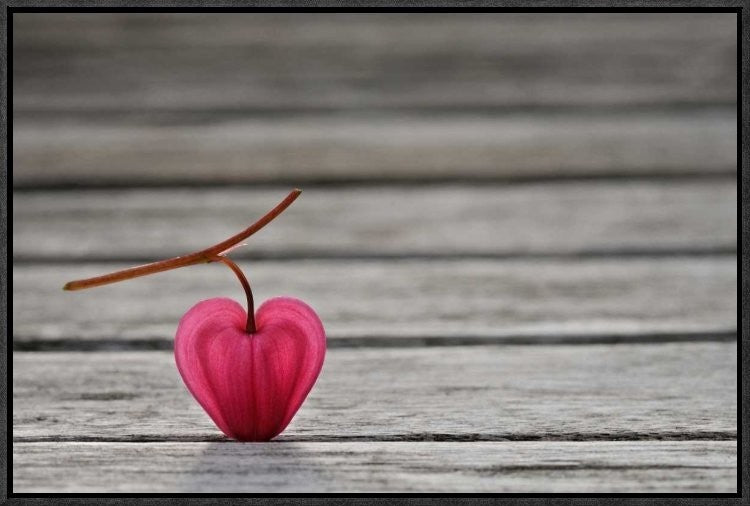"Natural Heart" Framed Canvas Giclee by Lotte Gronkjaer, 23x15"