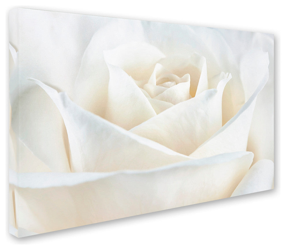 Cora Niele 'Pure White Rose' Canvas Art