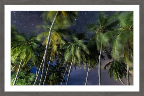 "Palms at Night" Framed Painting Print, 36"x24"