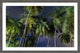 "Palms at Night" Framed Painting Print, 36"x24"