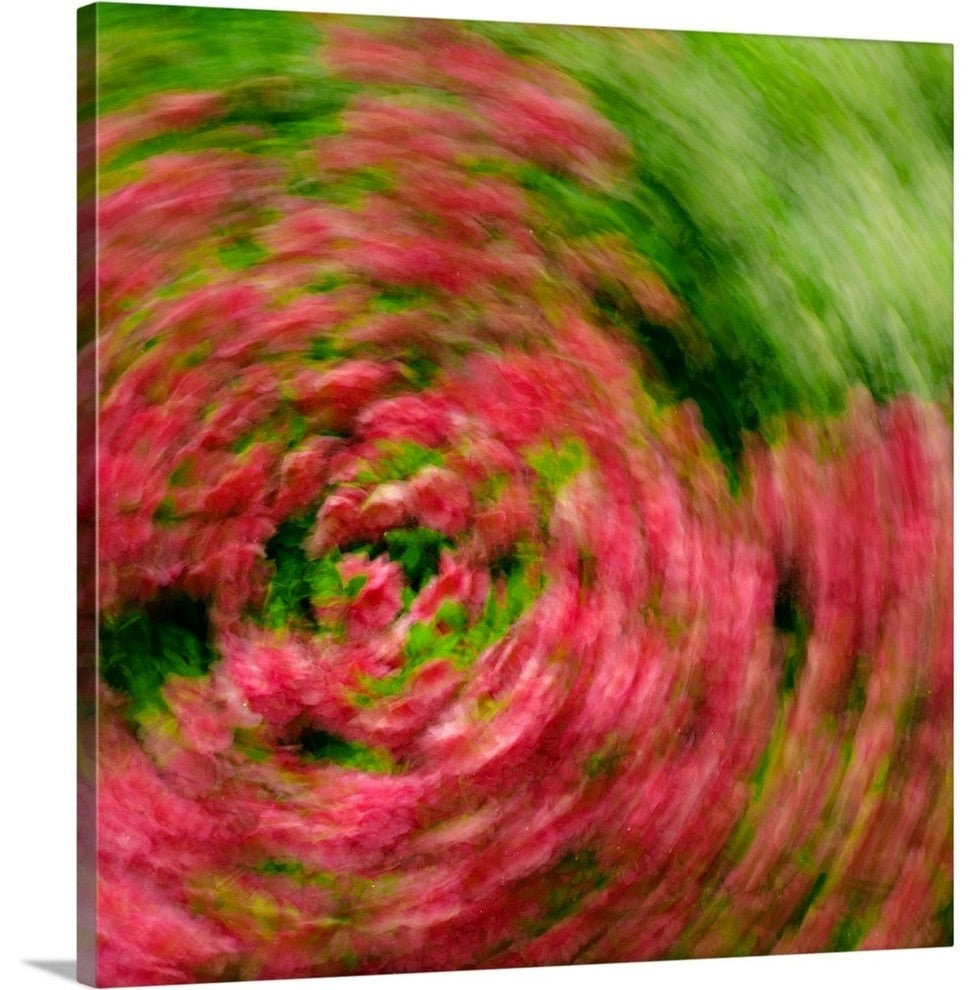 "Floral Swirl" Wrapped Canvas Art Print, 20"x20"x1.5"