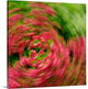 "Floral Swirl" Wrapped Canvas Art Print, 20"x20"x1.5"