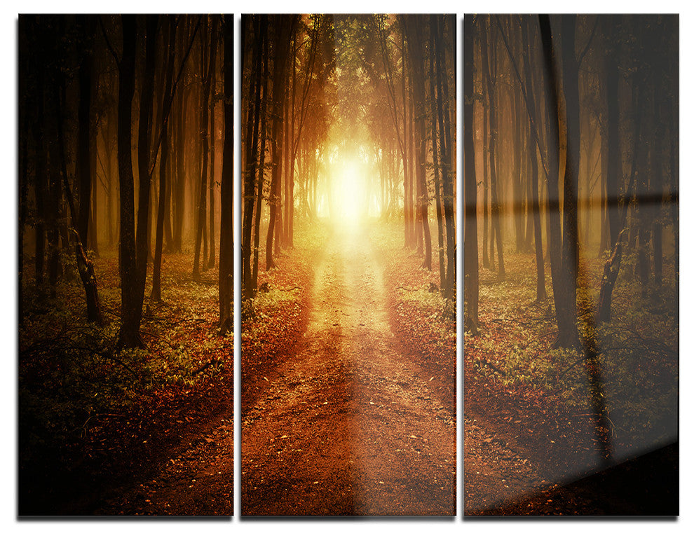 "Road in Symmetrical Forest" Photo Metal Wall Art, 3 Panels, 36"x28"