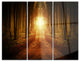 "Road in Symmetrical Forest" Photo Metal Wall Art, 3 Panels, 36"x28"