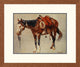 "Navajo Pony" Framed Digital Print by William R. Leigh, 25x21"