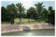 "Lakeside Palms" Digital Paper Print by Diane Romanello, 32"x22"