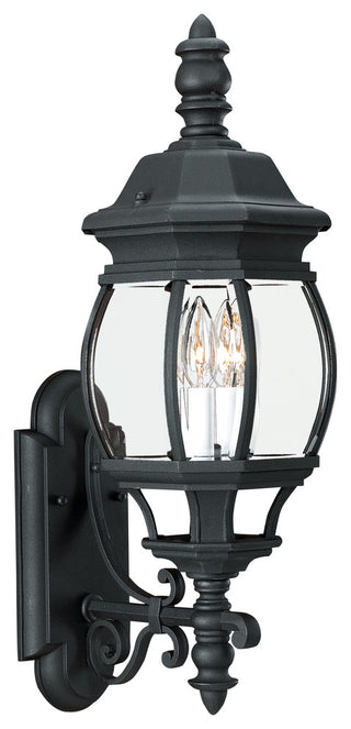 Generation Lighting Lighting 2-Light Outdoor Lantern, Black