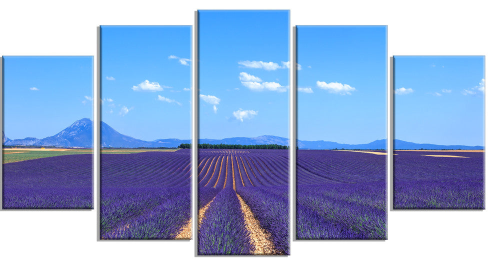 "Lavender Blooming Fields and Trees" Landscape Wall Art Print, 5 Panels, 60"x32"