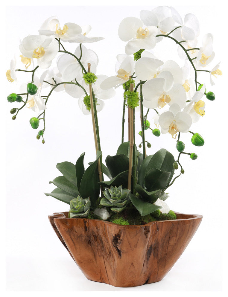 White Real Touch Phalaenopsis Orchids in Rustic Teak Bowl