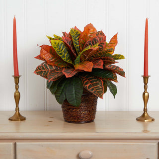 Lifestyle image: plant displayed in a real-room setting ( candles on either side ); entire plant is visible.