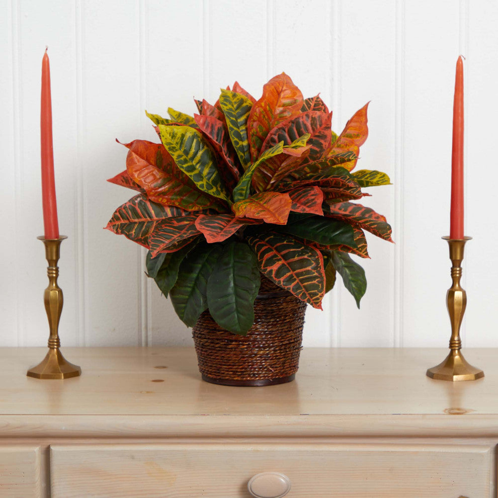 Lifestyle image: plant displayed in a real-room setting ( candles on either side ); entire plant is visible.