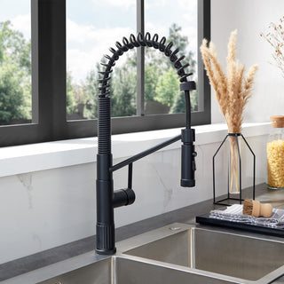 Nette Single-Handle Kitchen Faucet With Pull Down Sprayer, Matte Black