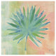 "Beach Cove Leaves II" Digital Paper Print by Studio Mousseau, 20"x20"