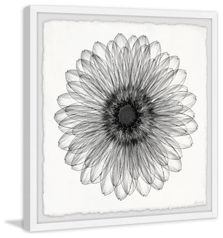 "Elegant Sunflower" Framed Painting Print, 24x24