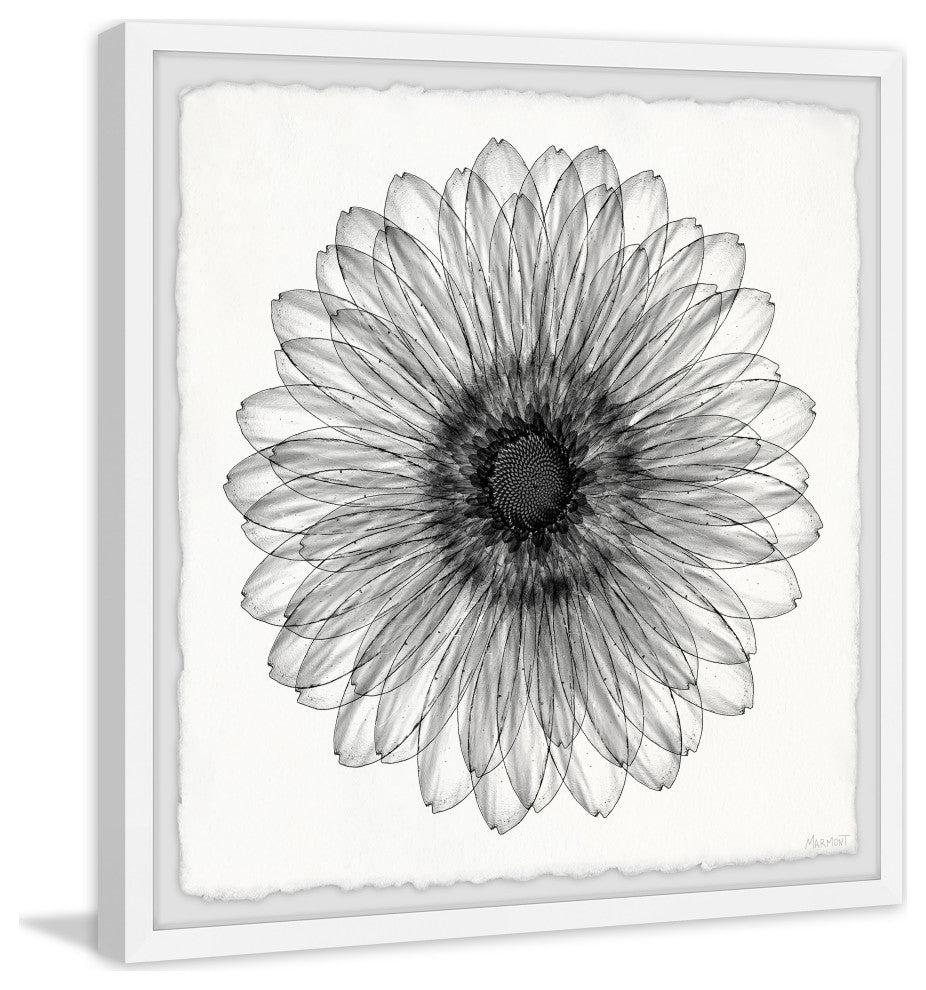 "Elegant Sunflower" Framed Painting Print, 24x24