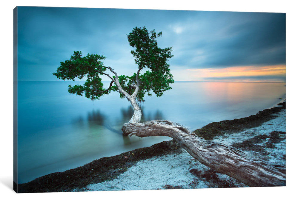 Water Tree 10 Color by Moises Levy