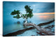 Water Tree 10 Color by Moises Levy