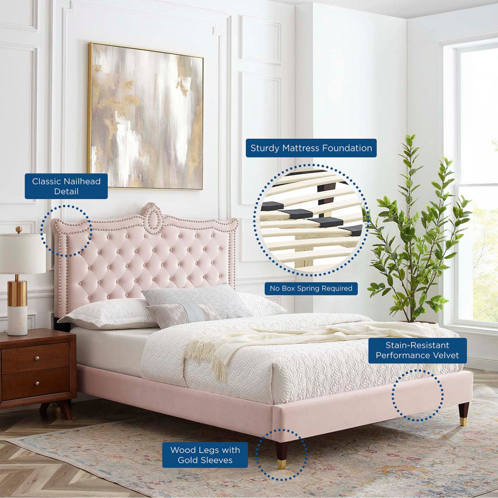 Platform Bed Frame, Nailhead, Queen Size, Pink, Velvet, Modern, Guest Suite