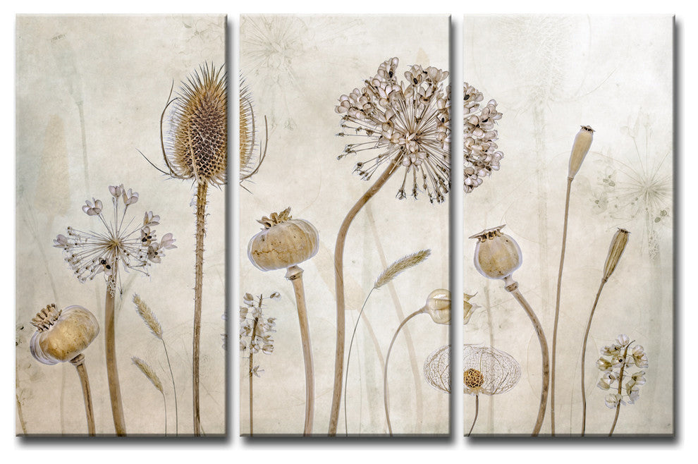 Ready2HangArt 'Growing Old' 3-Piece Canvas Wall Decor Set, 60"x40"