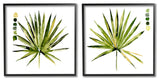 Spiky Aloe Palm Plant Paint Hue Guide, 2pc, each 24 x 24