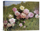 "A Study of Roses" Artwork, 16" x 13"