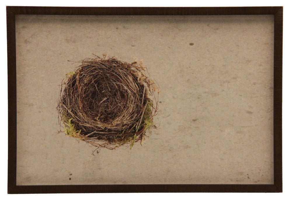 Birds'S Nest With Greenery, Brown Shadowbox