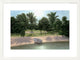 "Lakeside Palms" Framed Digital Print by Diane Romanello, 33x25"