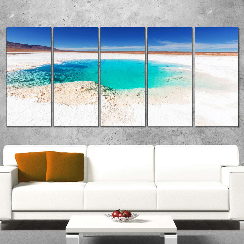 Beautiful Salinas Lake in Argentina, Landscape Canvas Art, 60"x28", 5 Panels