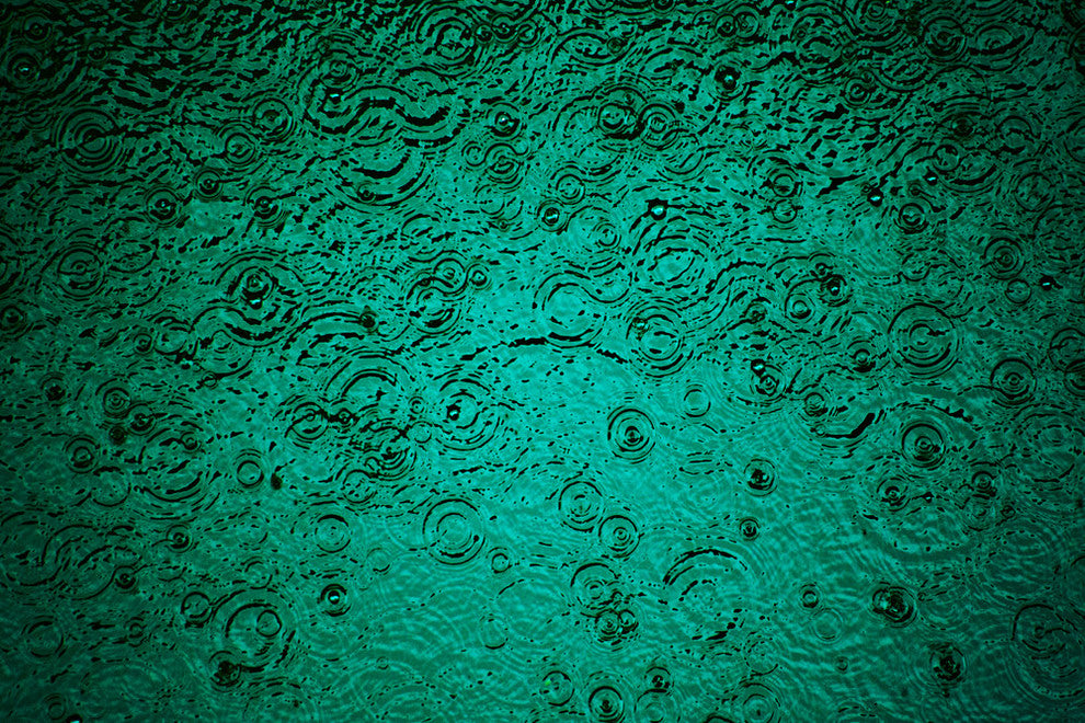 "Rain I" Museum Mounted Canvas Print, 32"x24"