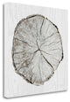 "Woodland Years I" By Sue Schlabach, Giclee Print on Gallery Wrap Canvas