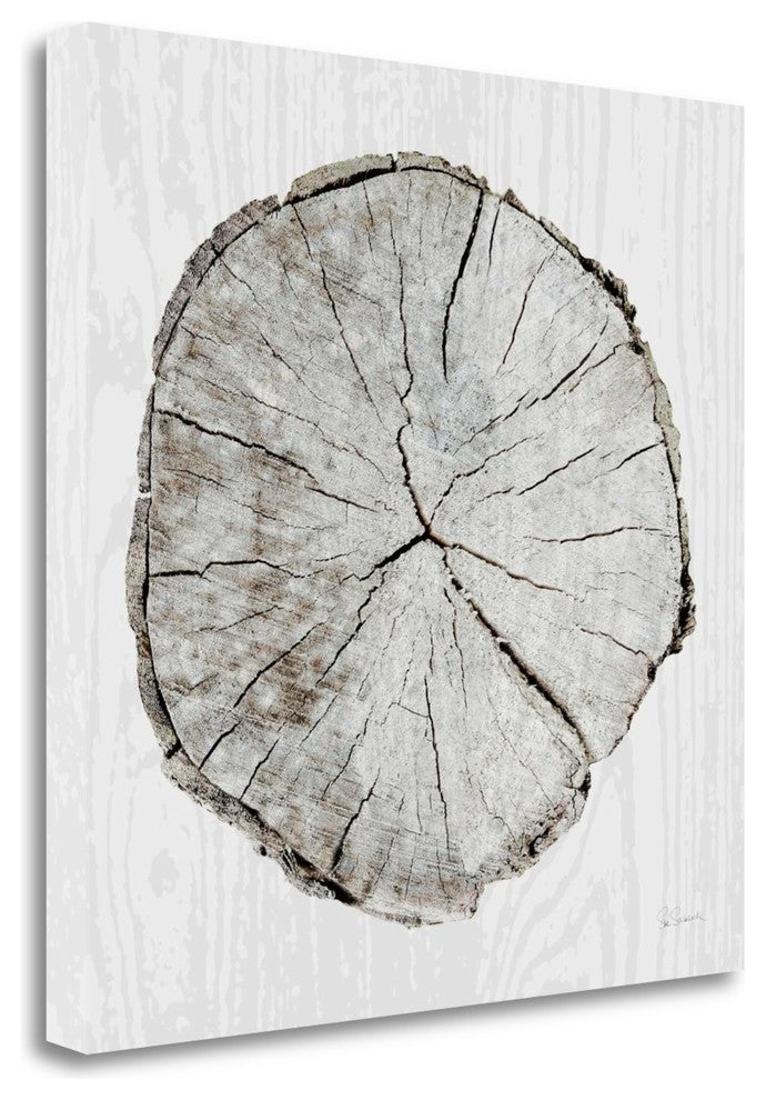 "Woodland Years I" By Sue Schlabach, Giclee Print on Gallery Wrap Canvas