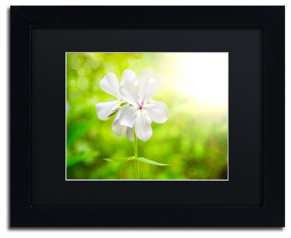 PIPA Fine Art 'Beauty of the Forest Floor' Matted Framed Art, 14x11