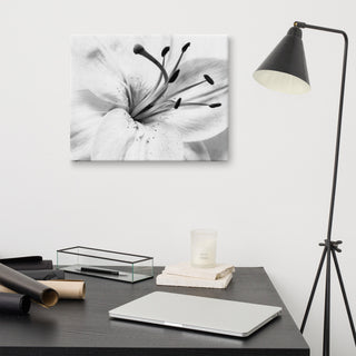 Grey Floral Canvas: High-key Lily Floral Nature Photo Wall Art Print, 16" X 20"