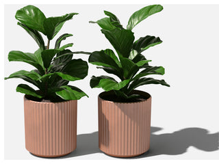 Veradek Demi Series Planter, Terracotta, 12", 2 Pack