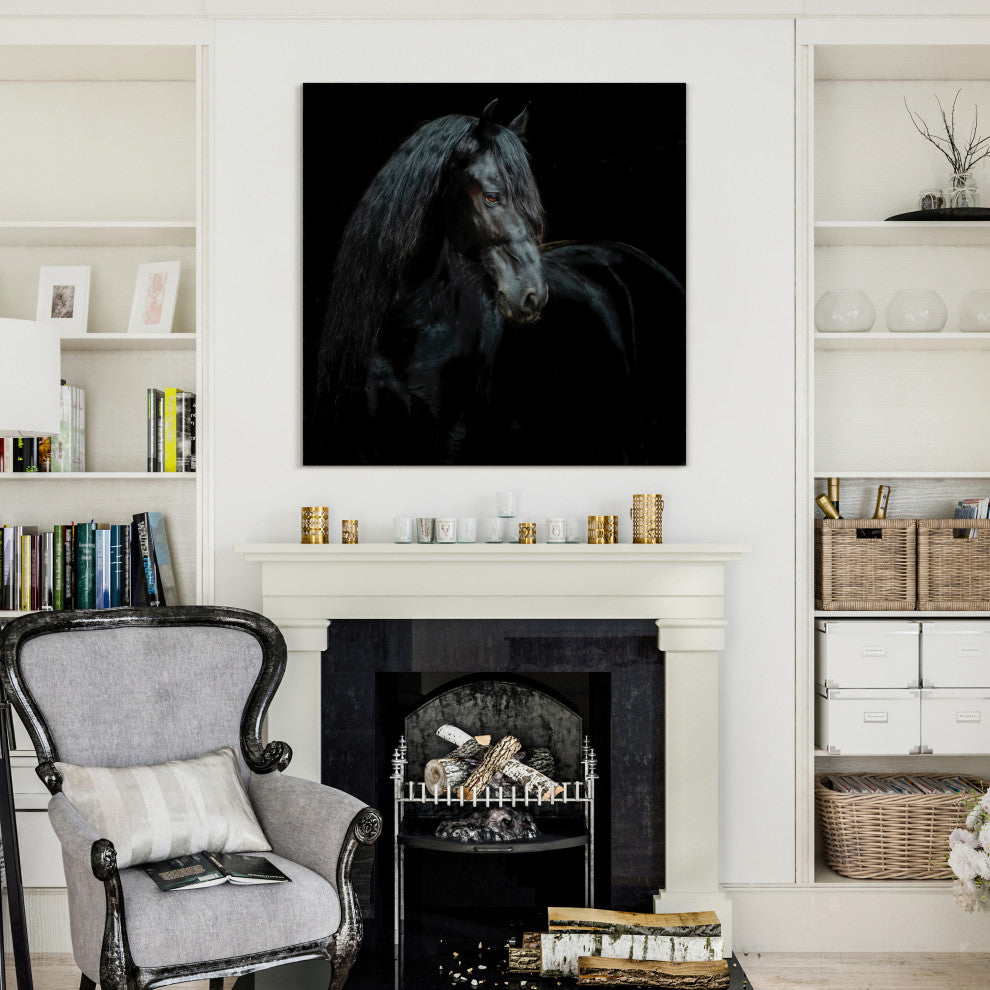 "Black Equine Attraction" Frameless Free Floating Tempered Glass Panel Wall Art