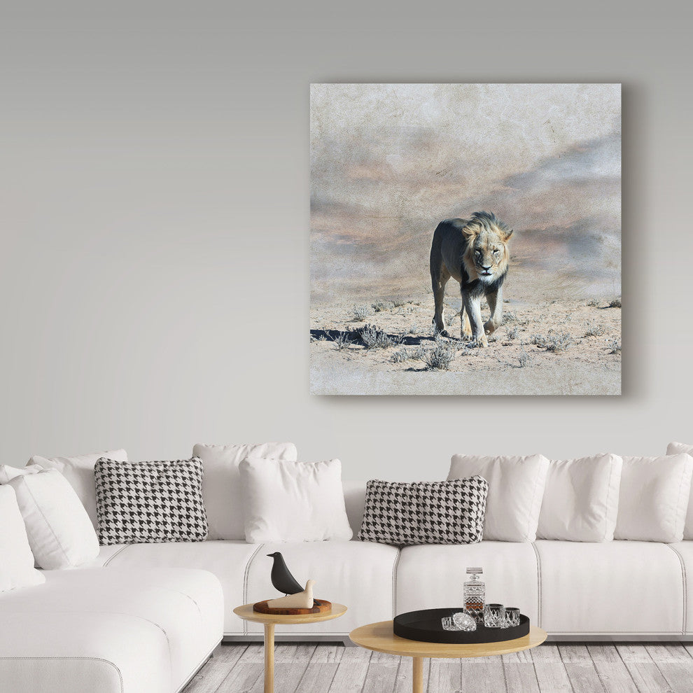 "The King 2A" by Ata Alishahi, Canvas Art, 18"x18"