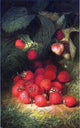 Robert Spear Dunning Strawberries, 18"x27" Wall Decal