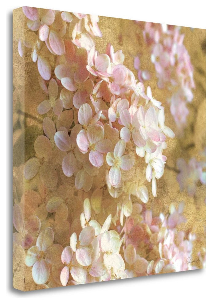 "Gilded Hydrangea I" By Sue Schlabach, Giclee Print on Gallery Wrap Canvas