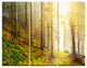 "Sun Finds its Way in Forest" Photo Metal Wall Art, 3 Panels, 36"x28"