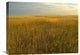 "Upper Prairie In Badlands National Park, South Dakota" Artwork, 24" x 18"