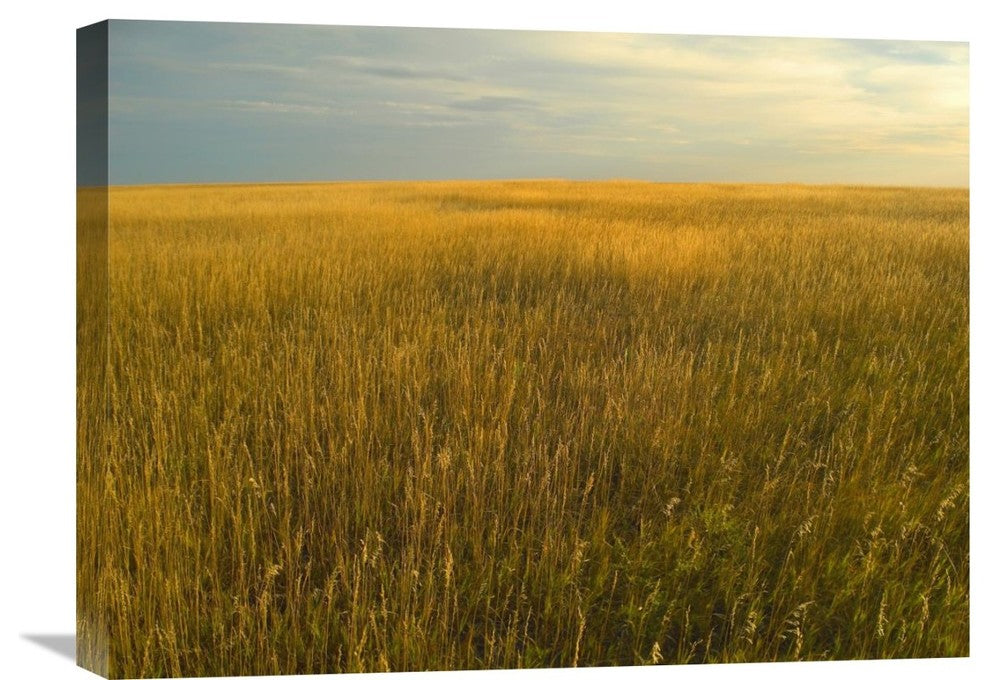 "Upper Prairie In Badlands National Park, South Dakota" Artwork, 24" x 18"