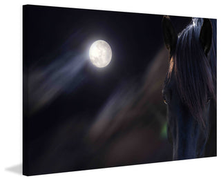"Circle of Life" Print on Canvas by Maggie Dee