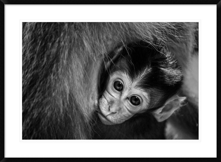 "A Mothers Love" Framed Digital Print by Gunarto Song, 38"x28"
