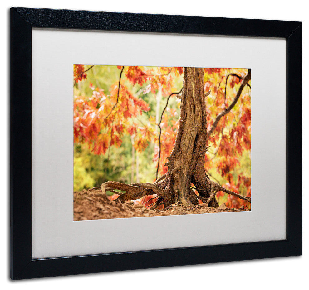 Jason Shaffer 'Hang Tight' Matted Framed Art, Black Frame, White Mat, 20x16