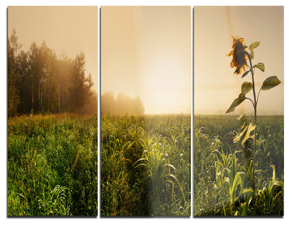 "Green Panoramic Landscape" Photo Metal Wall Art, 3 Panels, 36"x28"