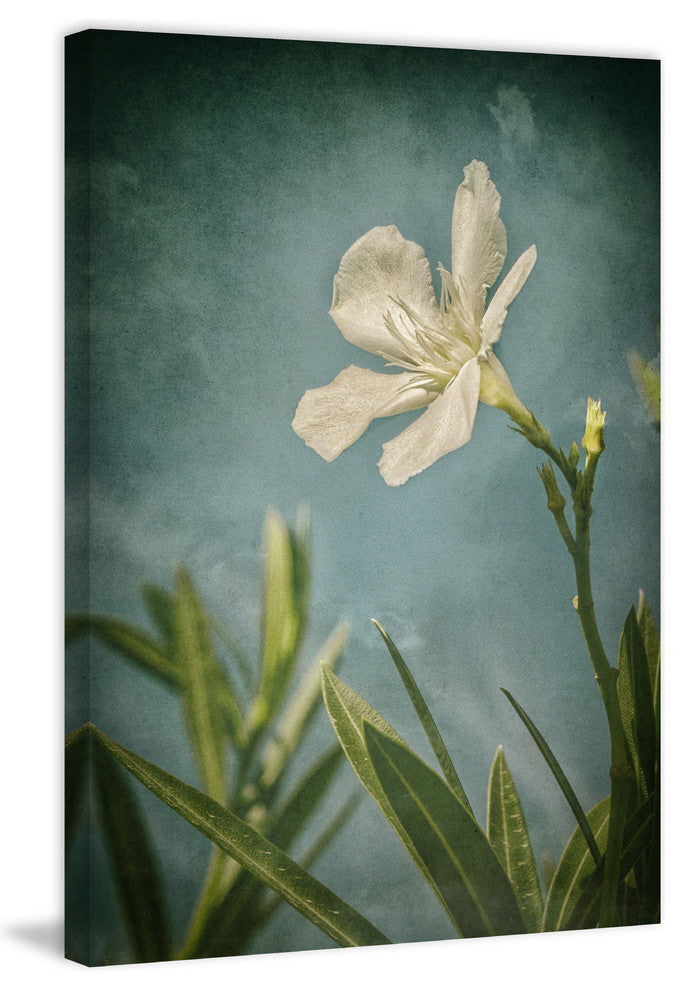 "White Flower Left" Painting Print on Wrapped Canvas, 20x30