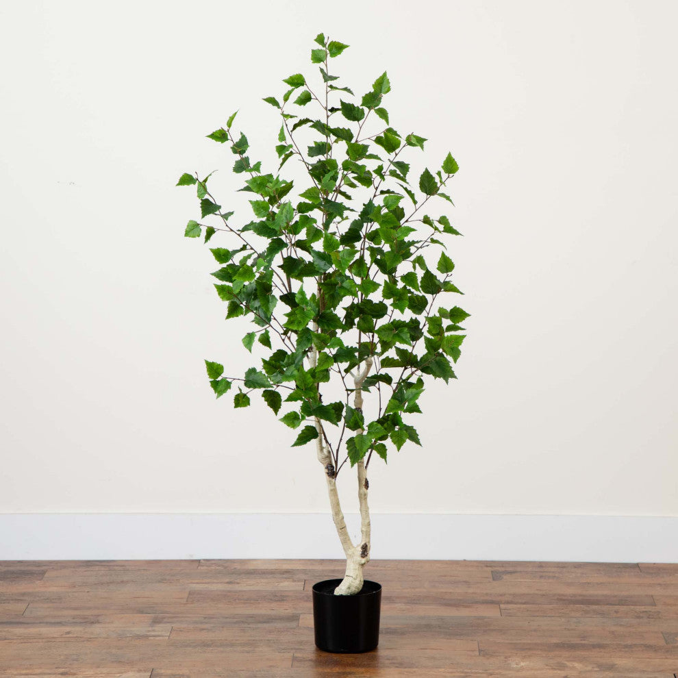 Full product on white background